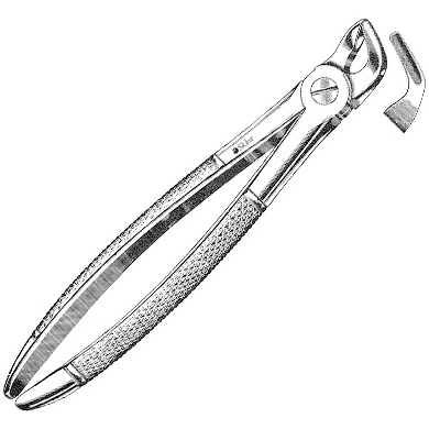 Sklar Dental Extracting Forceps #31