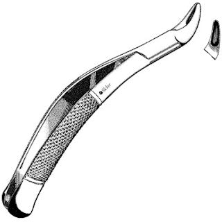 Sklar Dental Extracting Forceps #62