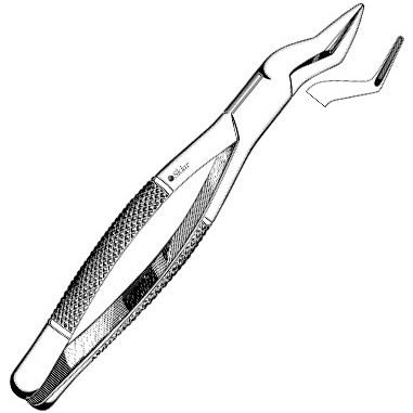 Sklar Dental Extracting Forceps #65