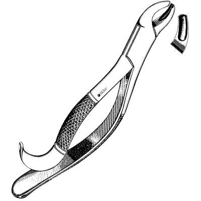 Sklar Extracting Forceps #24 - Premium OR-Grade Steel