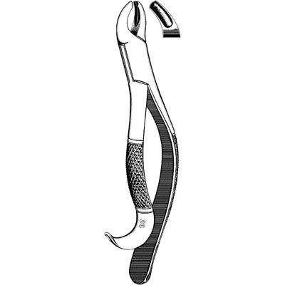 Sklar Extracting Forceps #24 - Physician Grade Steel