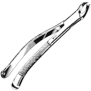 Sklar Extracting Forceps #89