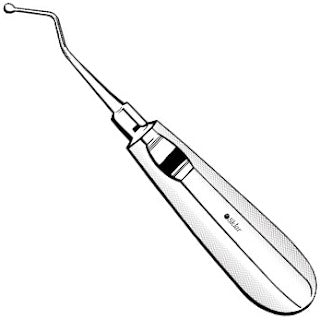 Sklar Molt Curette #5L